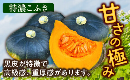 【先行予約】北海道 かぼちゃ 特濃こふき 2個 【9月中旬以降発送】足寄町/足寄アグリバイオ株式会社 [BEAC011]