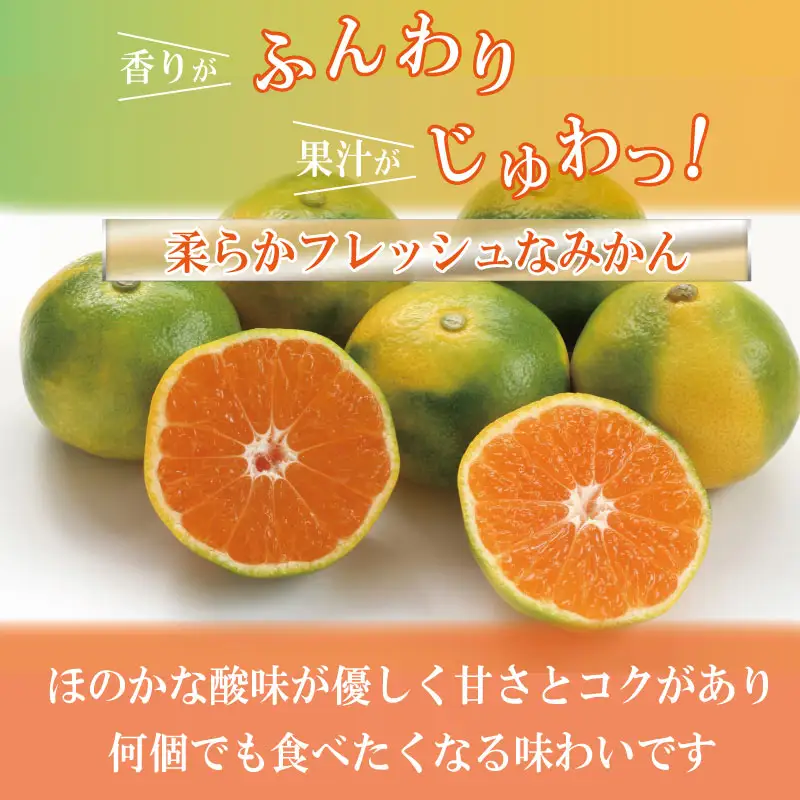 【2026年10月順次発送】 極早生みかん 3kg 温州 みかん