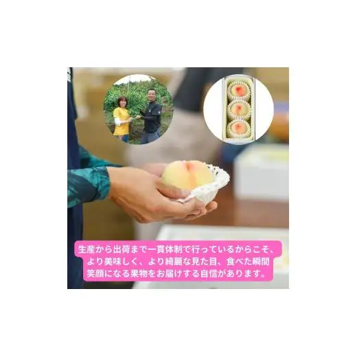 白桃 3玉 約800g 岡山県産 【先行予約 2026年7月上旬から順次発送】