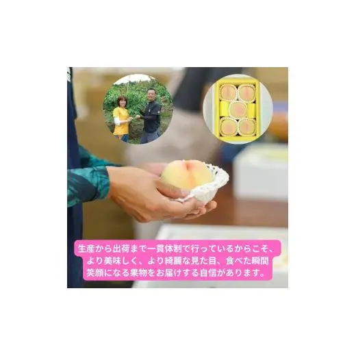 白桃 5玉 約1.3kg 岡山県産 【先行予約 2026年7月上旬から順次発送】