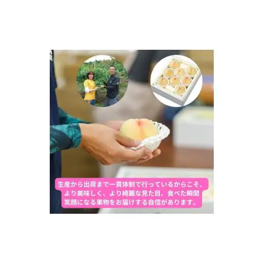 清水白桃 8玉 約2.0kg 岡山県産 【先行予約 2026年7月中旬から順次発送】