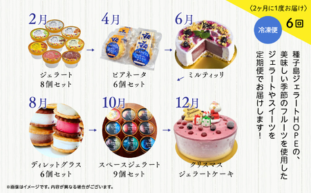 ジェラート定期便6回