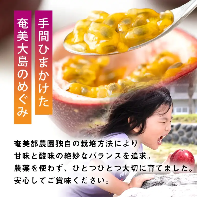 【 2026年 先行予約 】 パッションフルーツ 家庭用 約1kg A194-001-01 フルーツ 果物 南国 デザート 期間限定 限定 自然 美味しい カクテル ヨーグルト サラダ 奄美都農園 ふるさと納税 鹿児島 奄美市 おすすめ ランキング プレゼント ギフト