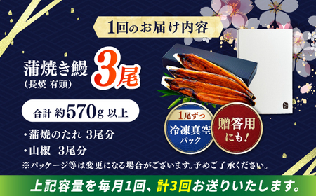【3回定期便】 極上国産うなぎ四万十桜 蒲焼き3尾 たっぷり大サイズ / 国産 高知 四万十 うなぎ ウナギ 鰻 蒲焼き うな重 惣菜 贅沢 【有限会社もりた】[ATHE006]