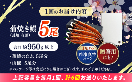 【6回定期便】極上国産うなぎ四万十桜 蒲焼き5尾 たっぷり大サイズ / 国産 高知 四万十 うなぎ ウナギ 鰻 蒲焼き うな重 惣菜 贅沢 【有限会社もりた】[ATHE012]