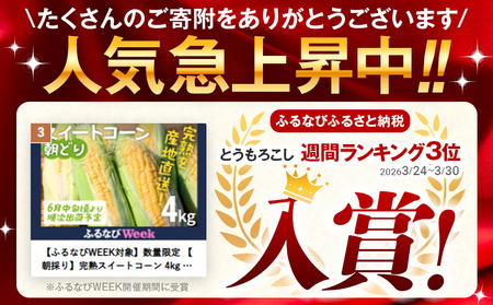 完熟 スイートコーン 数量限定 とうもろこし 【朝採り】4kg 先行予約 産地直送 