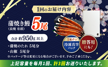 【3回定期便】極上国産うなぎ四万十桜 蒲焼き5尾 たっぷり大サイズ / 国産 高知 四万十 うなぎ ウナギ 鰻 蒲焼き うな重 惣菜 贅沢 【有限会社もりた】[ATHE009]