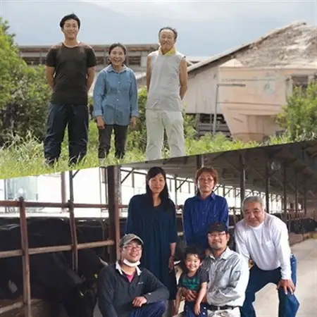 【化粧箱入り】和牛セレブの鳥取和牛煮込み用ブロック400g【配送不可地域：離島】【1530378】