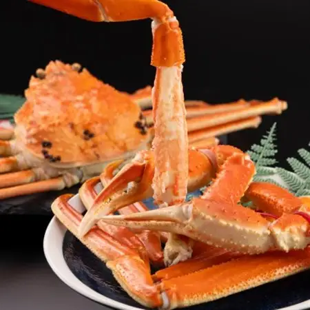 鳥取県産　タグ付きボイル松葉ガニ中1枚(600g～700g)【配送不可地域：離島・北海道・沖縄県】【1536354】