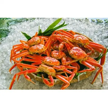 鳥取県産　ボイル松葉ガニおまかせ　3kg【配送不可地域：離島・北海道・沖縄県・東北・関東・信越、北陸・東海・九州】【1536366】