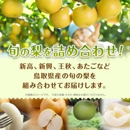 【訳あり】鳥取県産旬の梨セット 4kg【配送不可地域：離島・北海道・沖縄県】【1554510】