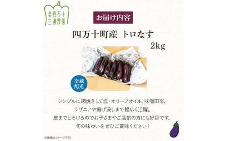 【予約受付】【期間限定】 焼いてトロける！三浦農園のトロなす2kg 栽培期間中農薬・化学肥料不使用 ／Fms-16 農産物 新鮮 焼きナス 野菜 大量 