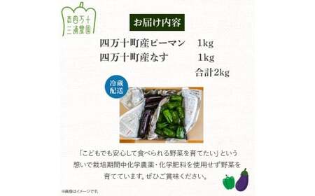 【予約受付】【期間限定】 ピーマン・トロなすセット 2kg（各1kg） 栽培期間中農薬・化学肥料不使用 ／Fms-17 農産物 新鮮 肉厚ピーマン 焼きナス 野菜 大量 農薬不使用 化学肥料不使用