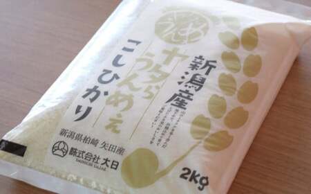 【令和7年産米・5ヶ月定期便】コシヒカリ 白米 4kg（2kg×2袋）×5回（計 20kg）ヤタらうんめぇお米 水田環境鑑定士在籍[Y0506]