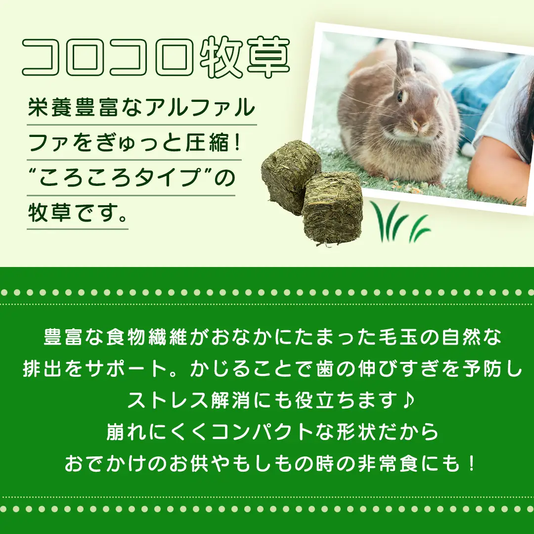 アニマルファーム コロコロ牧草 240g × 6袋 小動物用フード ペットフード 食物繊維 アルファルファ 非常食 牧草 [BU026sa]