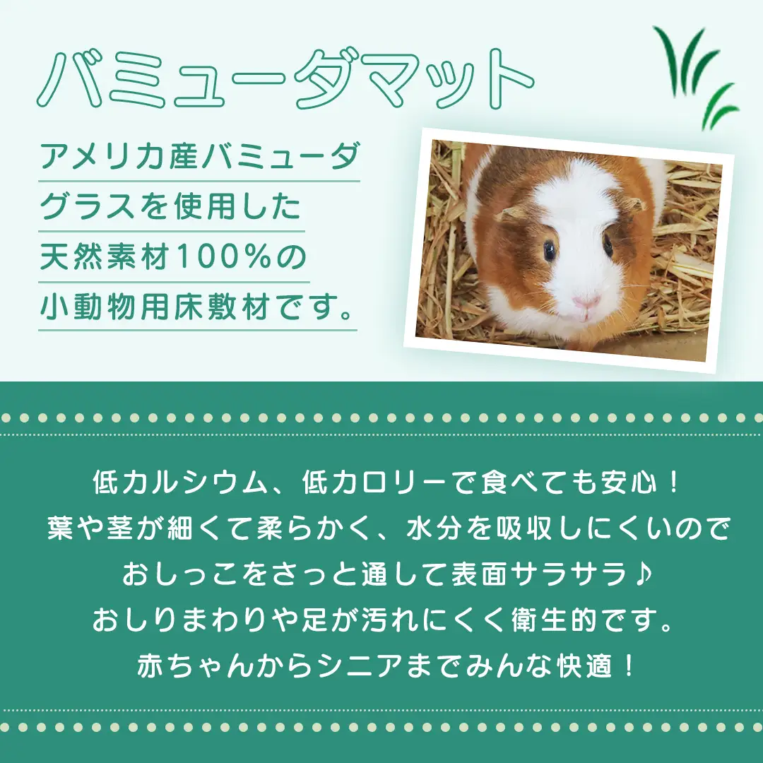 小動物 の バミューダマット 600g × 4袋 小動物用 敷材 バミューダグラス [BU027sa]