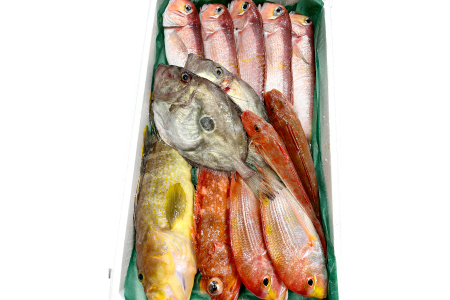 旬の鮮魚ＢＯＸお任せセット（梅）【鮮魚 約5kg 冷蔵 旬 魚 さかな 天然 天然魚 新鮮 地魚 産地直送 水揚げ次第発送 おまかせ セット 詰め合わせ お取り寄せ 大田市 和江漁港】