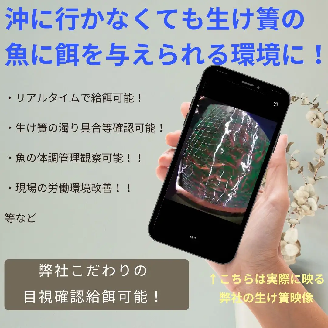 体験 餌やり 漁場 見学 チケット 1時間30分 コース  魚類養殖現場 AI 餌やり 体験 ＆ 漁場 見学 こもこもShop L020-186009