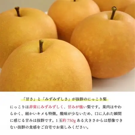 【桃沢晴香園】にっこり梨 約5kg(7玉)【配送不可地域：離島・沖縄県】【1606256】