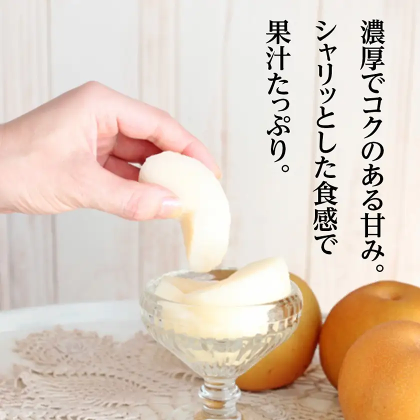 南水梨 4.5kg(秀10～12玉)【1615471】