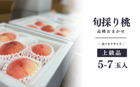桃 上級品 岡山県産 旬採り桃(品種おまかせ) 5-7玉  【KF-A002-04】