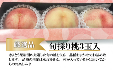 【厳選品】旬の桃(品種おまかせ) 大玉3玉 (岡山県産)  【KF-A016-03】