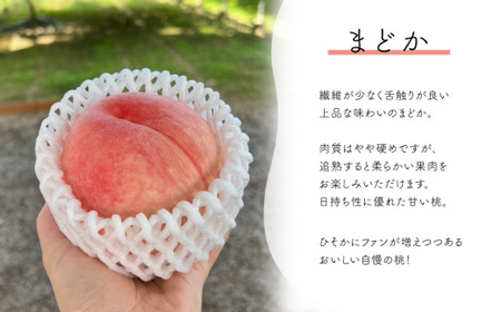 果樹園の人気桃「まどか」ご家庭用 5-7玉 (岡山県産)【KF-A023-03】
