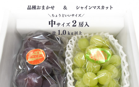 シャインマスカット 岡山県産ぶどう シャインマスカット＆生産者いちおし葡萄2房入計1.0kg～ 【KF-B010-04】