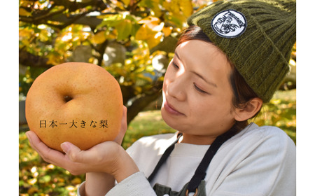 あたご梨 ご家庭用 / 約5kg (岡山県産)  和梨 【KF-C008-03】