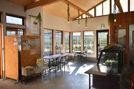 果樹園で育った、フルーツぎっしりのパウンドケーキ1本(岡山県産) 【KF-K001-02】