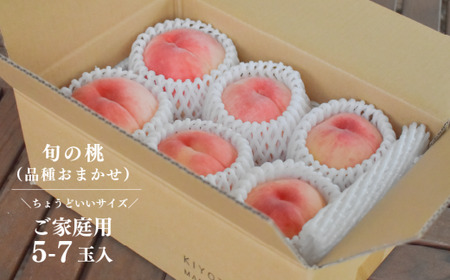 旬採り桃とシャインマスカットどっちも食べたい便！２回便(定期便) (岡山県産)【KF-T012-04】