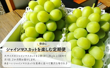 岡山のシャインマスカットを楽しむ満足2回便！特大２房×２回/全便計2.6kg～ (定期便)(岡山県産)【KF-T044-03】