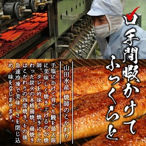 霧島湧水鰻3尾＆ししまるお茶セット 霧島湧水鰻(156g以上×3尾)＆緑茶ティーバッグ(3g×6個) 鹿児島県産 うなぎ ウナギ たれ タレ さんしょう 山椒 セット 緑茶 うな重 うな茶漬け b0-207
