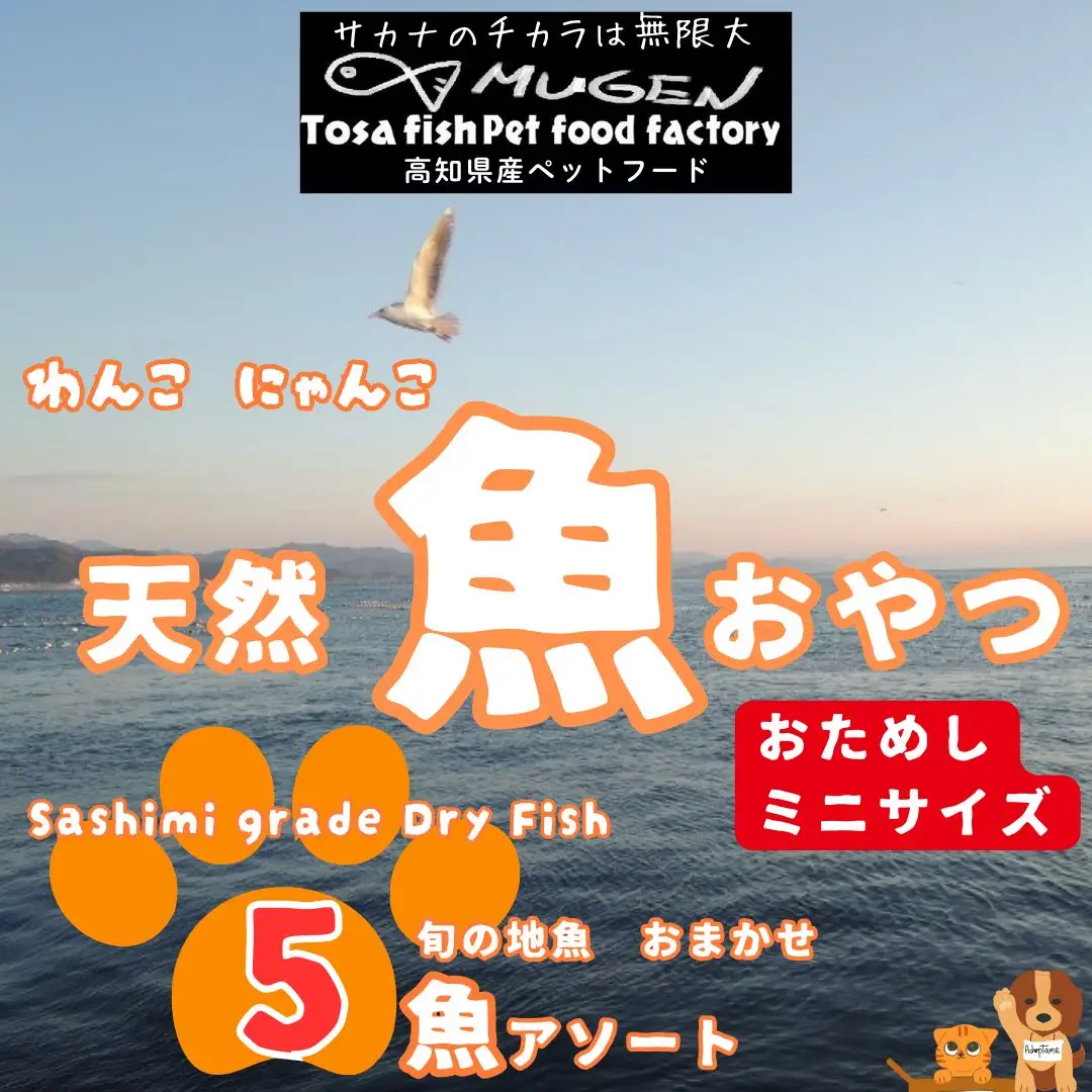 M220【犬・猫用】お魚100%わんにゃん 無添加ペットフード