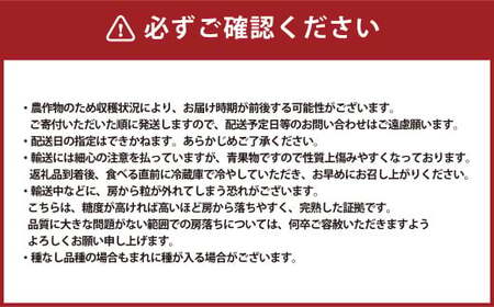 シャインマスカット 1房 計700g 【2026年9月下旬～10月上旬発送予定】 マスカット ぶどう 葡萄 ブドウ 種なし