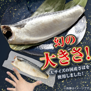 国産 塩さば フィーレ 約160～200g 15枚 サバフィレ 鯖 サバ さば フィレ 切り身 塩サバ 特大 バラ凍結 冷凍 魚 魚介