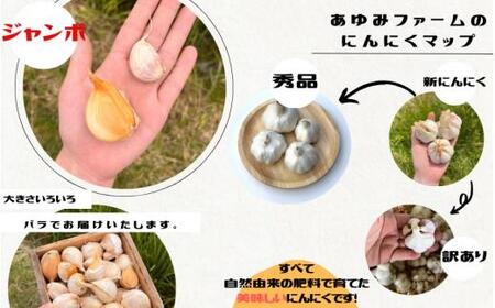 令和８年度産 秘境の地からお届けする あゆみファームのご家庭用ジャンボにんにく 4kg【7月下旬から順次発送】/ にんにく ニンニク ジャンボにんにく 予約受付 ガーリック 和歌山【aym016A】