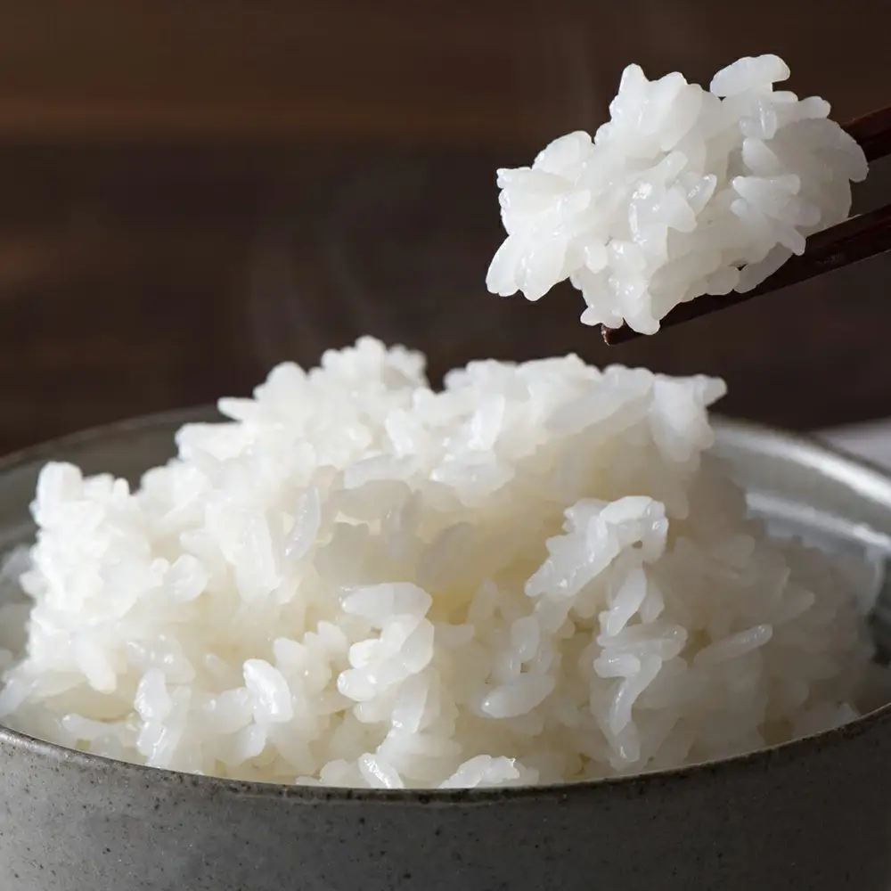 【令和7年産】多賀城市産郷古農園ひとめぼれ　精米5kg（5kg×1袋）　【04209-0280】