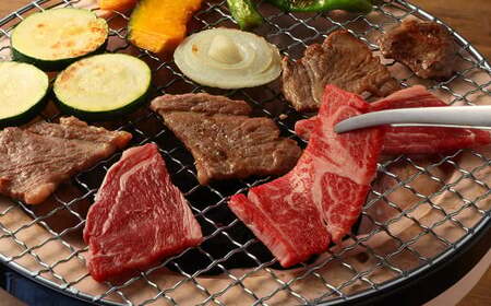 【12ヶ月定期便】 あか牛 焼き肉用 カット （バラ、ロース） 500g 計6kg 牛肉 牛 お肉 肉 焼肉 焼き肉 焼きにく BBQ おかず 冷凍