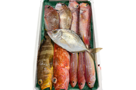 旬の鮮魚ＢＯＸお任せセット（竹）【鮮魚 約5kg 冷蔵 旬 魚 さかな 天然 天然魚 新鮮 地魚 産地直送 水揚げ次第発送 おまかせ セット 詰め合わせ お取り寄せ 大田市 和江漁港】