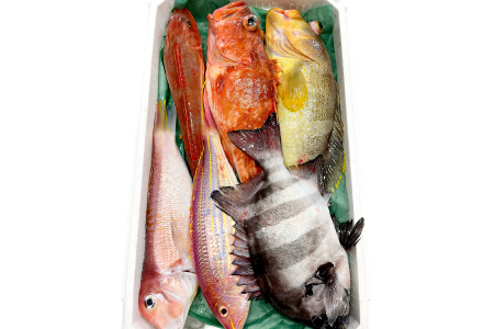 旬の鮮魚ＢＯＸお任せセット（松）【鮮魚 約5kg 冷蔵 旬 魚 さかな 天然 天然魚 新鮮 地魚 産地直送 水揚げ次第発送 おまかせ セット 詰め合わせ お取り寄せ 大田市 和江漁港】