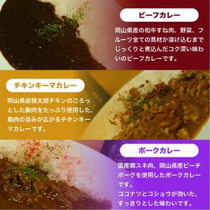 MARS LABオリジナル岡山カレー 3種食べ比べセット（各1食200ｇ入り 3食分)