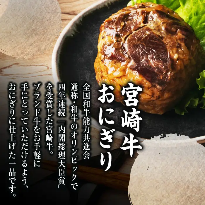 ＜2週間以内発送！＞ 宮崎牛 おにぎり (計1.2kg・120g×10P) 牛肉 ブランド牛 お弁当 レンジアップ 小分け 湯煎 個包装 おつまみ レトルト 常温 保存 ご当地 簡単調理【AP-79】【株式会社 日向屋】