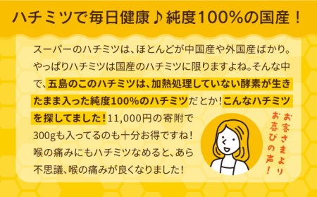 【純度100％】 五島産日本ミツバチ蜂蜜 【五島市日本ミツバチ振興会】 [PCQ001]