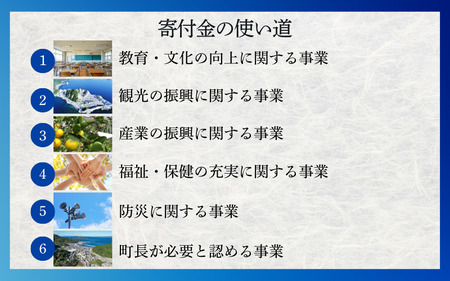和歌山県由良町『応援寄付金』【返礼品なし】 1口：10,000円 / 由良 ゆら ゆら町 和歌山県 おうえん 応援 しえん 支援 応援したい おうえん寄付金 応援寄付金 寄付のみ 返礼品なし 返礼品なしの寄附【yuratown003】 