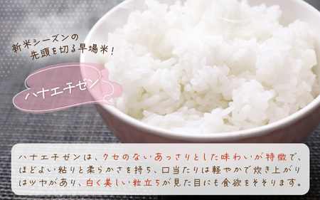 【先行予約】令和8年産 愛情たっぷり健やかに育った ツヤツヤ ハナエチゼン（白米）10kg【2026年9月上旬以降順次発送予定】 [m29-b002]