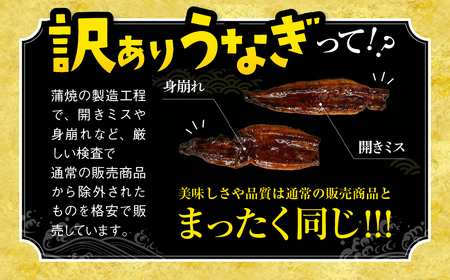 国産うなぎ蒲焼 500g 豊橋 うなぎ