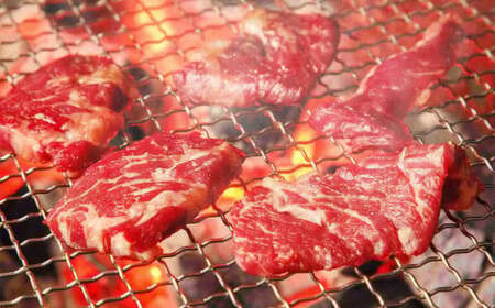 博多和牛A4ランク以上 焼肉用タレ漬 約550g 牛肉 和牛 国産牛 牛 お肉 肉 焼肉用 タレ漬 たれ漬 バラ 肩ロース ウデ 焼肉 焼き肉 味付き肉 味付き 九州 福岡県 苅田町 冷凍