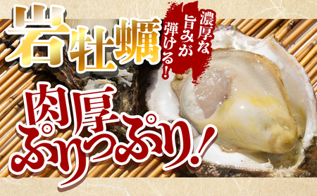 【先行予約】海鮮バーベキューセット(伊勢海老・岩ガキ) 3〜4人前 海鮮BBQ eb-0037