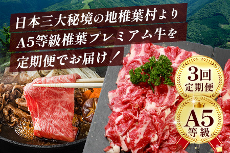 お試し定期便 【 定期便 3回 】 総重量 1,900g 牛肉 椎葉プレミアム牛の スライス肉 ＆ 切り落とし肉 定期便 【 日本三大秘境 椎葉村 育ちの黒毛和牛 】 牛肉 椎葉牛 椎葉プレミアム牛 定期便 肉 スライス肉 切り落とし肉 A5等級指定 黒毛和牛 A5ランク TK-101